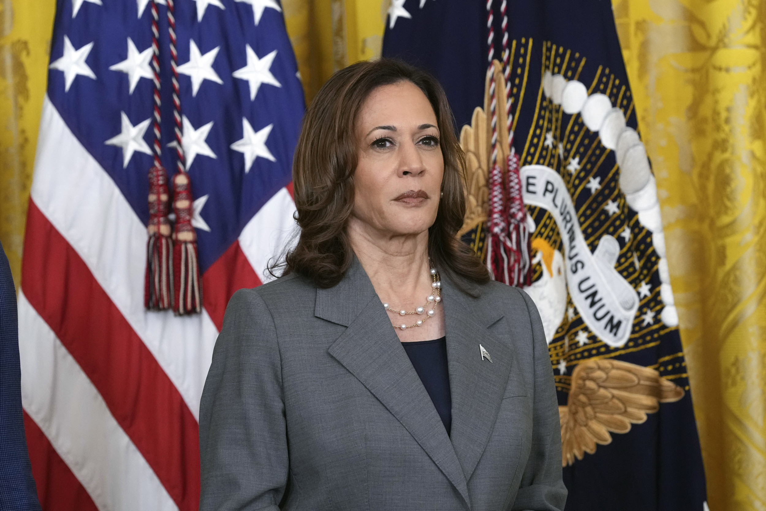 Kamala Harris leads Donald Trump in six swing states: new poll